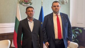 Пеевски Руен