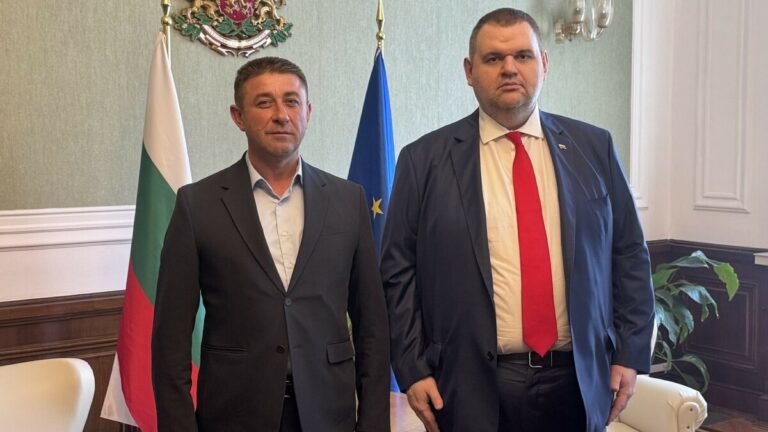 Пеевски Руен