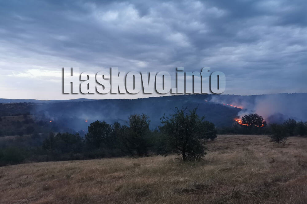 Хасково Пожар 5