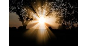 Слънце Снимка: Pixabay