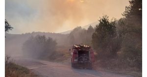 Големият горски пожар в района на село Горнослав бе овладян Снимки: Пожарна Пловдив