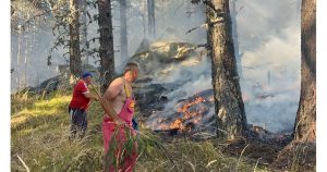 Пожар в България. Снимка: Архив