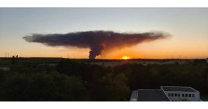 Пожарът край Плевен пламна на 20 септември Снимка: БТВ