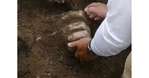 КАДЪР: Фейсбук/Archaeologia Bulgarica