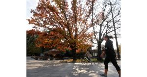 Октомври идва с порои, но завършва с циганско лято и температури до 23°C