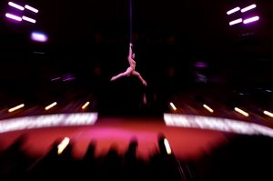 Трагедия в цирка: Артистка загина при падане пред публика в Германия