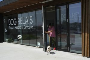 Лукс и спокойствие за четириноги: Международното летище в Рим отвори хотел за кучета с множество екстри