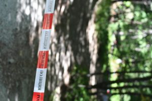 Снимка: Bulphoto