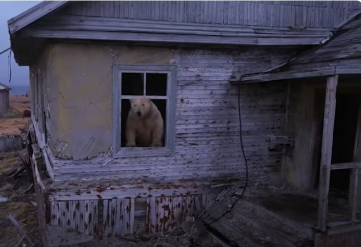 Стопкадър: YouTube