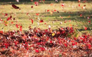 Жълт код за силен вятър и понижение на температурите в България