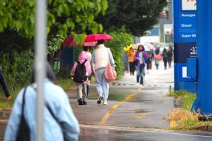 Есента настъпва: Жълт код за силен вятър в шест области, оранжев по Южното Черноморие