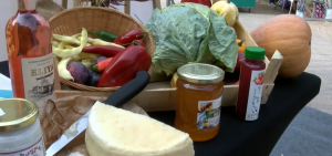 Национален биофест във Велико Търново: Празник на родното органично производство