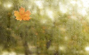 Снимка: илюстративна