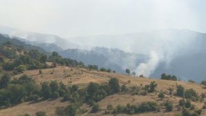 Над 2600 дка изгоряха при пожари в Национален парк 'Рила' тази година, гасенето на 'Белите камъни' продължава