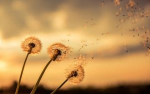 Снимка: илюстративна