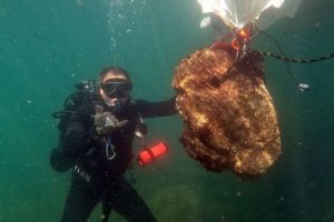 Снимка: НИМ