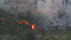 Големият пожар край Тутракан потушен, но с екологични последствия и задържан виновник
