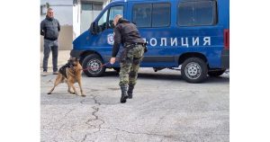 Директорът на приюта в Пловдив настоява: Изоставянето на животни изисква зоополиция и строг контрол
