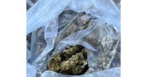 113 КГ КАНАБИС ЗАЛОВЕНИ В КАМИОН ОТ БЪЛГАРИЯ: Акцията съвпадна с тежък трафик на Капъкуле