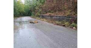 Пътят Казачево – Горно Павликене остава затворен: Опасността от ново срутване продължава след обилните дъждове