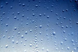 Силният вятър носи валежи и сняг в планините, но следобед се прояснява