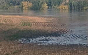 Нивото на Янтра спадна с метър и половина край Долна Студена, ситуацията се нормализира