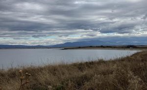 Халкидики разширява достъпността: Община Аристотелис посреща сезон 2026 със седем плажа за хора с увреждания