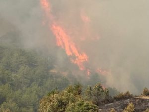 Един загинал и един пострадал след 50 потушени пожара през последното денонощие