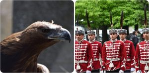 Столичният зоопарк не може да осигури 75 орлови пера за гвардейските калпаци