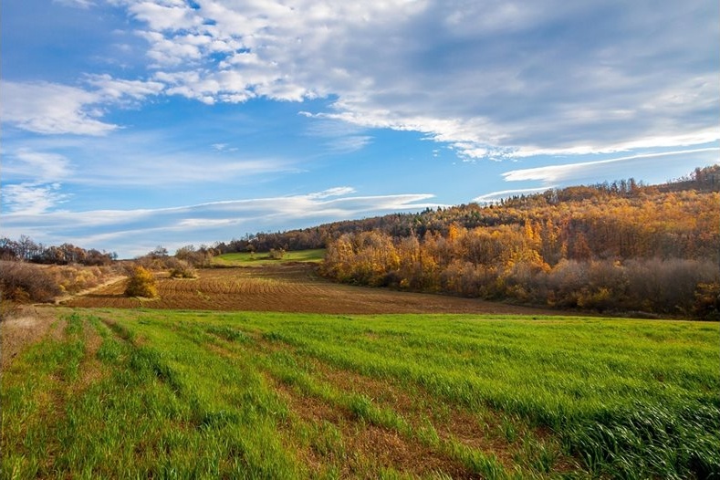 „Агрион“ стартира голяма кампания за изкупуване на земеделска земя до края на 2025 г. „Агрион“ стартира голяма кампания за изкупуване на земеделска земя до края на 2025 г.