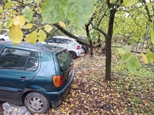 Падащи дървета в София: Жълт код и материални щети в „Мусагеница“, има и пострадала жена