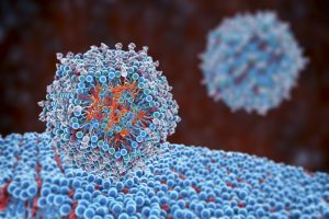 Пробив в медицината: Изкуствен интелект разчита езика на болестите на клетъчно ниво