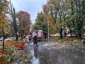 Силна буря блокира Русе: Паднали дървета и скъсани жици парализираха трафика