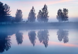 „Шведската рецепта“: Как Скандинавия се превърна в лекарство, предписано срещу стрес и тревожност