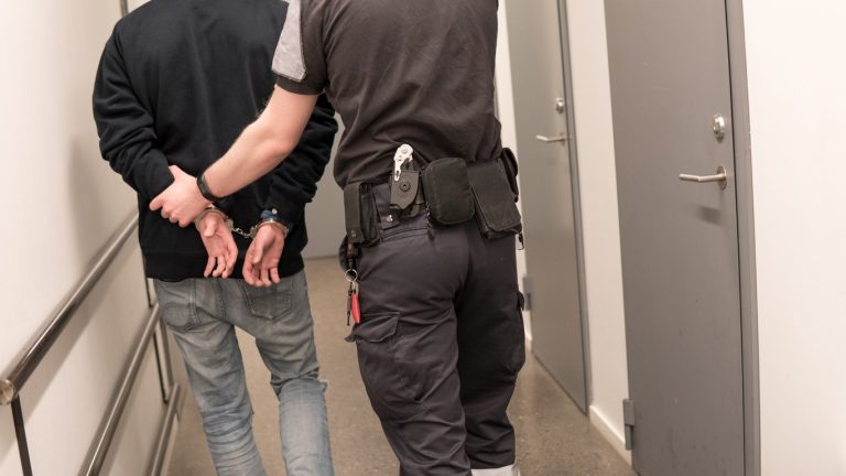 Четирима задържани в Пловдив за пране на пари: Отклонили $2.8 милиона от модел за еротичен сайт