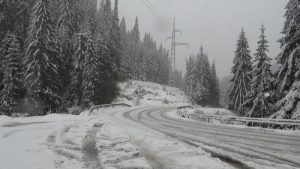 Първи сняг в Родопите: Снежната покривка достигна 20 см, затвориха път Нареченски бани – Асеновград