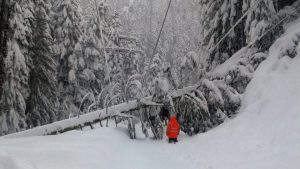 Мащабна авария: Берковица и 19 села останаха без ток след обилен снеговалеж