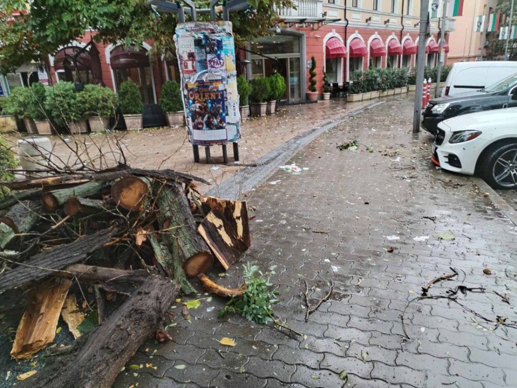 Силен вятър в Сливен: Паднало дърво повреди три автомобила в центъра на града
