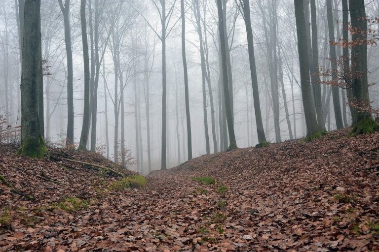 Прогнозата: Хладно за сезона време с валежи, очаква се и първи сняг в планините Прогнозата: Хладно за сезона време с валежи, очаква се и първи сняг в планините