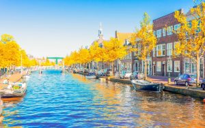 Най-малката секция в Нидерландия: Кафе в хола на Вим Вестерхоф привлича гласоподаватели от цялата страна Най-малката секция в Нидерландия: Кафе в хола на Вим Вестерхоф привлича гласоподаватели от цялата страна