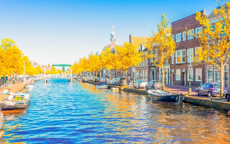 Най-малката секция в Нидерландия: Кафе в хола на Вим Вестерхоф привлича гласоподаватели от цялата страна Най-малката секция в Нидерландия: Кафе в хола на Вим Вестерхоф привлича гласоподаватели от цялата страна