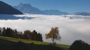 Вълшебно „море от облаци“ над Алпите: Феноменът се наблюдава само през есента