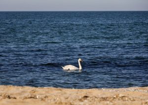 МОСВ отмени решението за екооценка на "Алепу" и поиска повторна процедура заради Натура 2000 МОСВ отмени решението за екооценка на "Алепу" и поиска повторна процедура заради Натура 2000