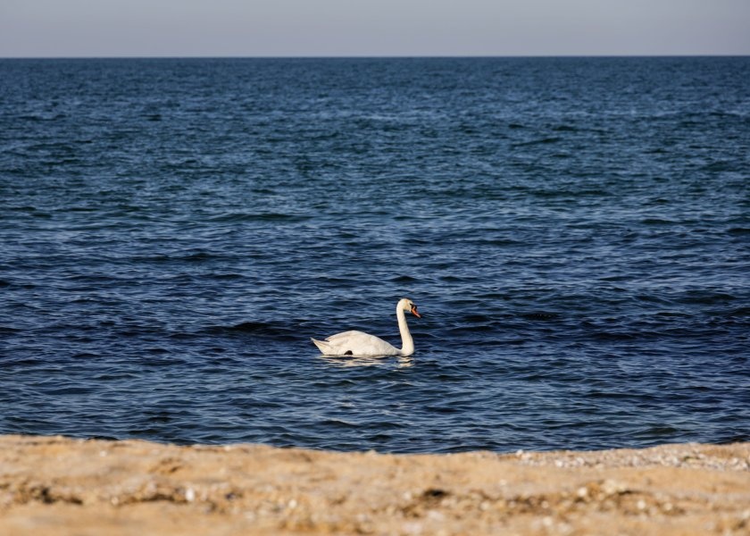 МОСВ отмени решението за екооценка на "Алепу" и поиска повторна процедура заради Натура 2000 МОСВ отмени решението за екооценка на "Алепу" и поиска повторна процедура заради Натура 2000