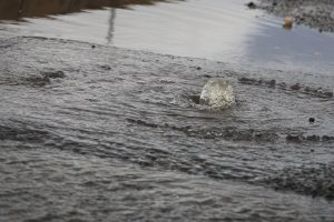 Бедствено положение в Несебър: Затвориха училища, спряха транспорта и евакуират Елените
