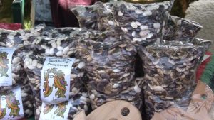 Рекордна цена и богата програма: Празникът на смилянския боб събра стотици в Смилян Рекордна цена и богата програма: Празникът на смилянския боб събра стотици в Смилян