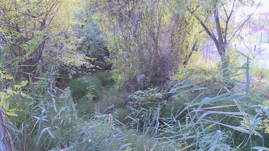 Варненско: Провериха речни корита, десетки са потенциално опасни след 35 години без ремонт Варненско: Провериха речни корита, десетки са потенциално опасни след 35 години без ремонт