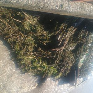 Река Янтра прелива край Долна Студена: Нивото надхвърли 5 метра, мост е компрометиран