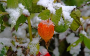 Последен ден със слънце: Страната се готви за буря с проливен дъжд, мокър сняг и силен вятър