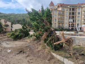 Масови нарушения по Черноморието: Отпадъци и незаконно строителство пречат на проводимостта на деретата Масови нарушения по Черноморието: Отпадъци и незаконно строителство пречат на проводимостта на деретата